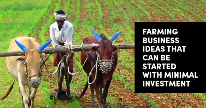 10 Farming Business Ideas That You Can Start With Minimal Investment -  Marketing Mind