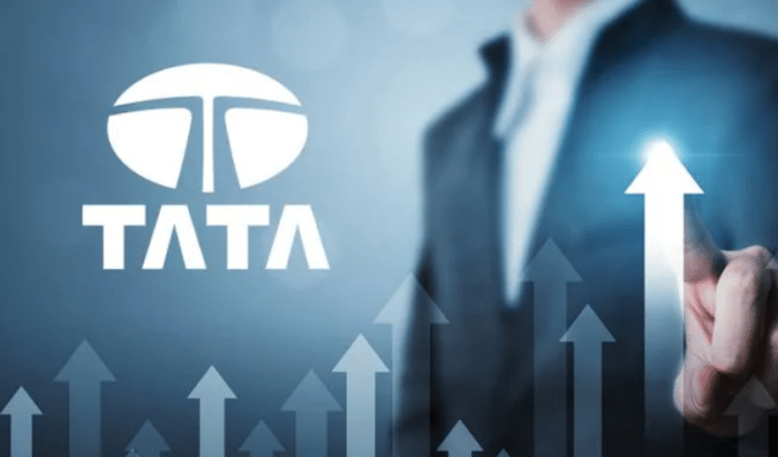 Tata Brand Values